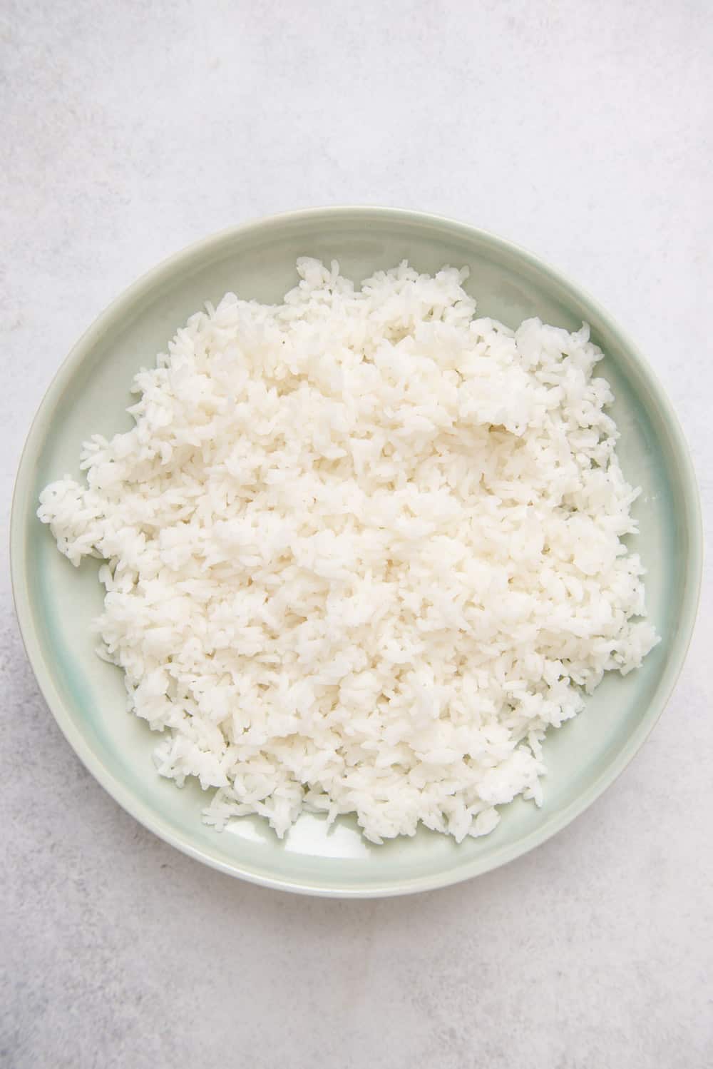 can dogs have jasmine rice?