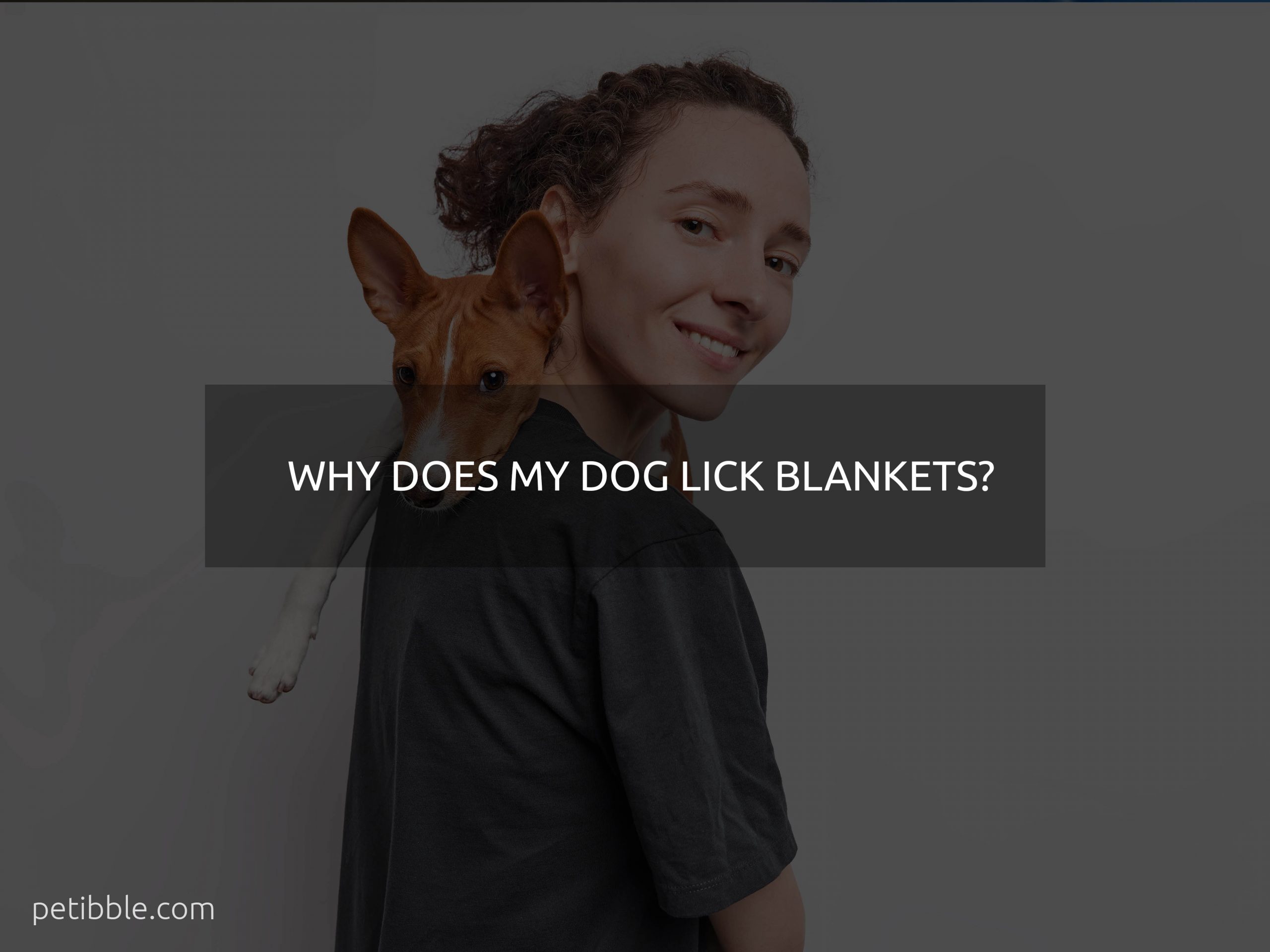why does my dog lick blankets?