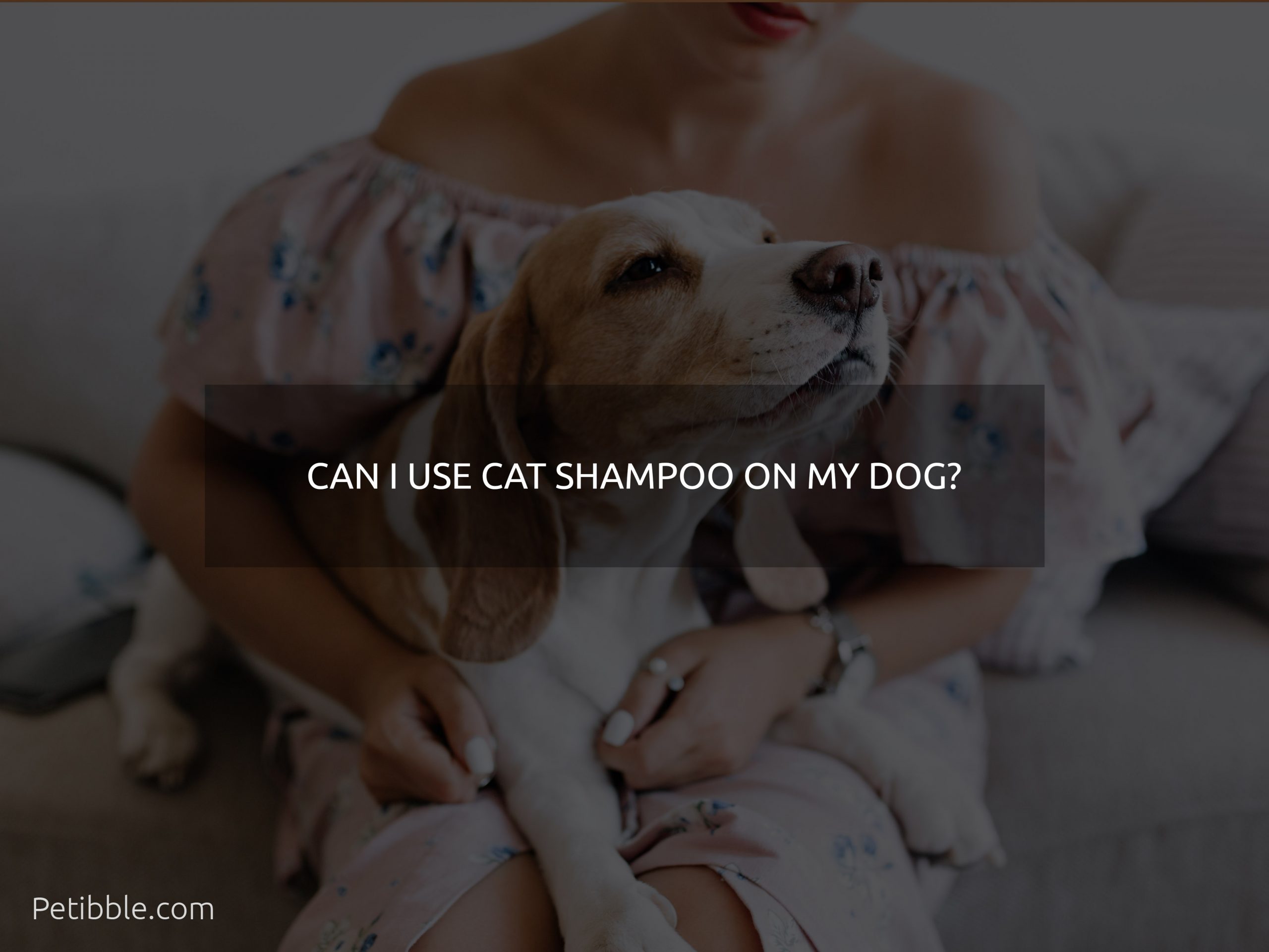 can i use cat shampoo on my dog