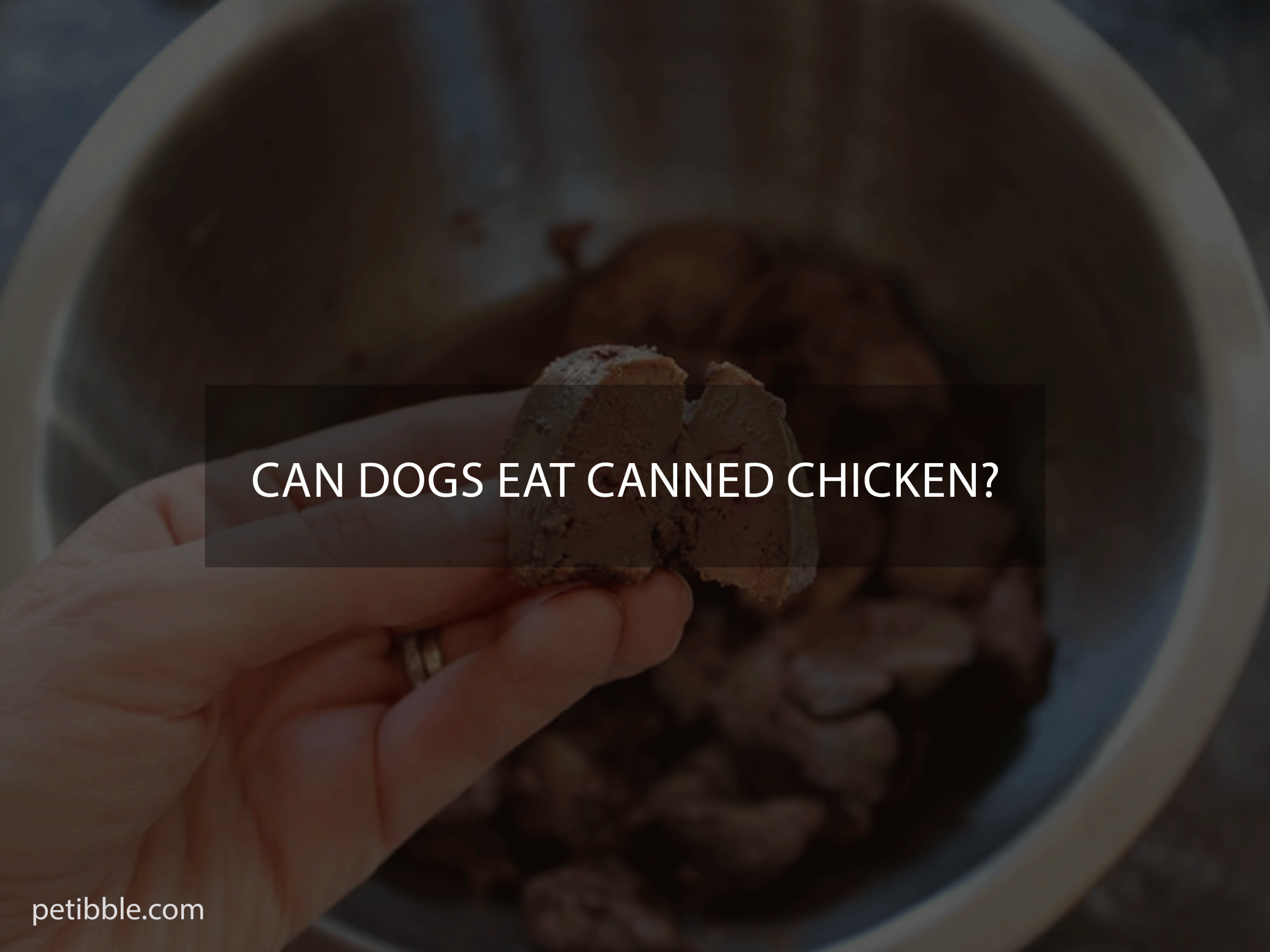 can dogs eat canned chicken?