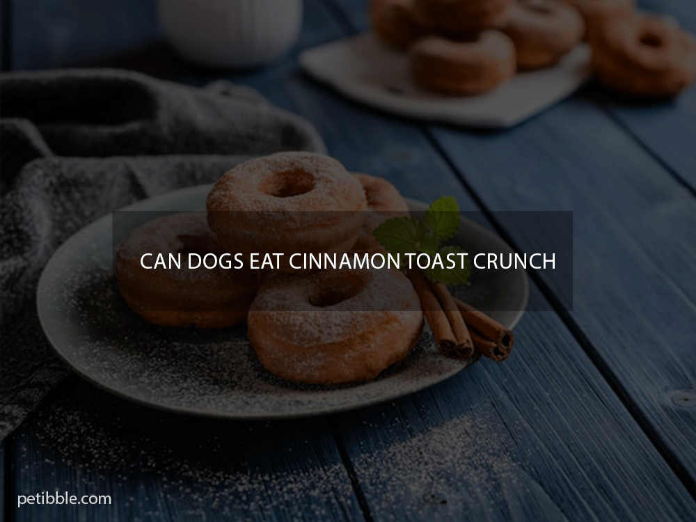 can dogs eat cinnamon toast crunch
