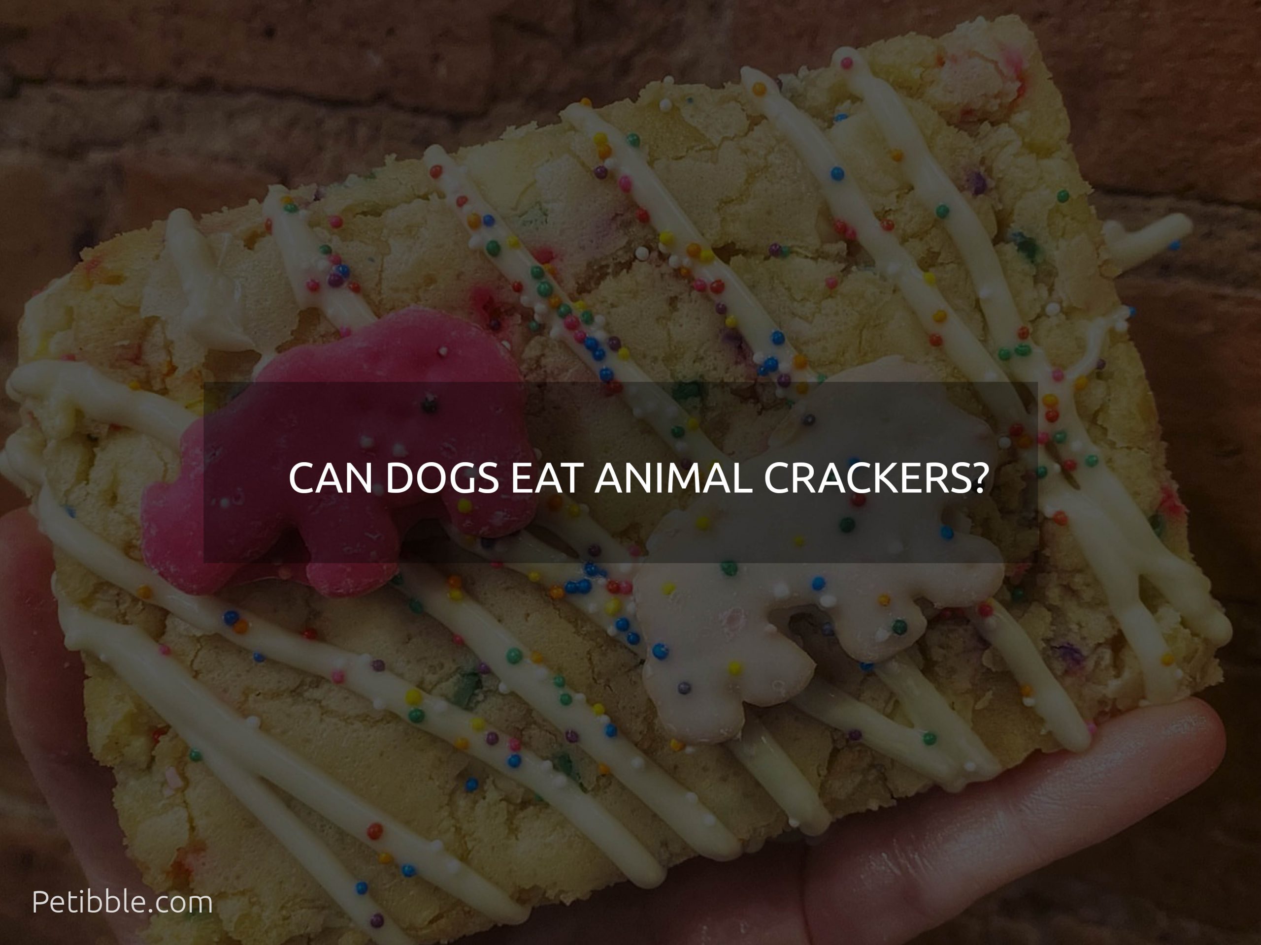Can dogs eat animal crackers?