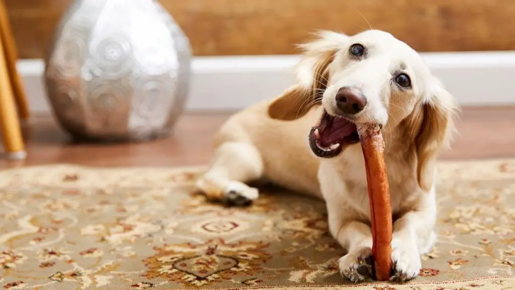 how to make your own bully sticks?