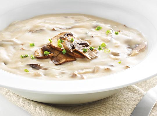 can dogs have cream of mushroom soup