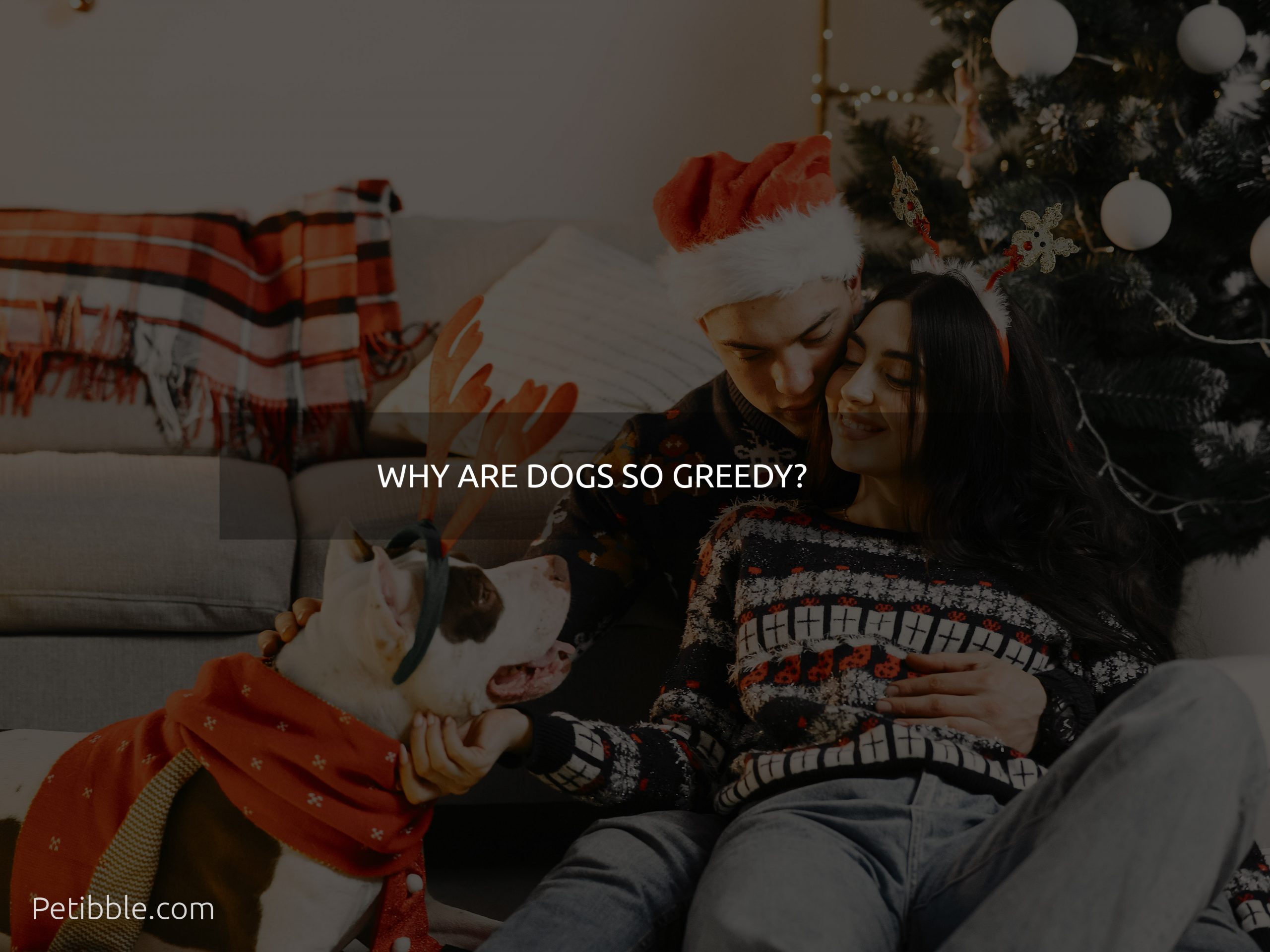 why are dogs so greedy?