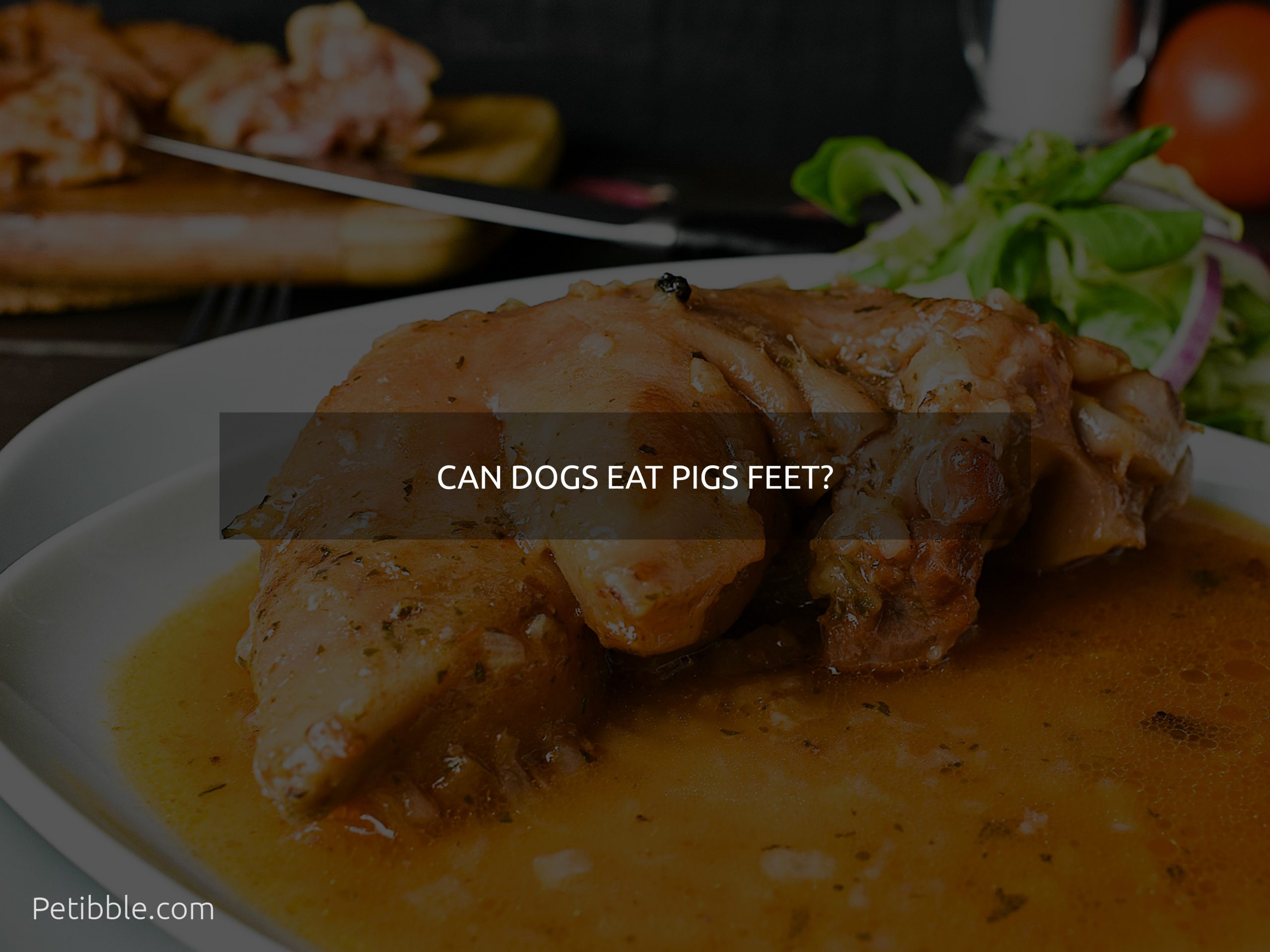 can dogs eat pigs feet