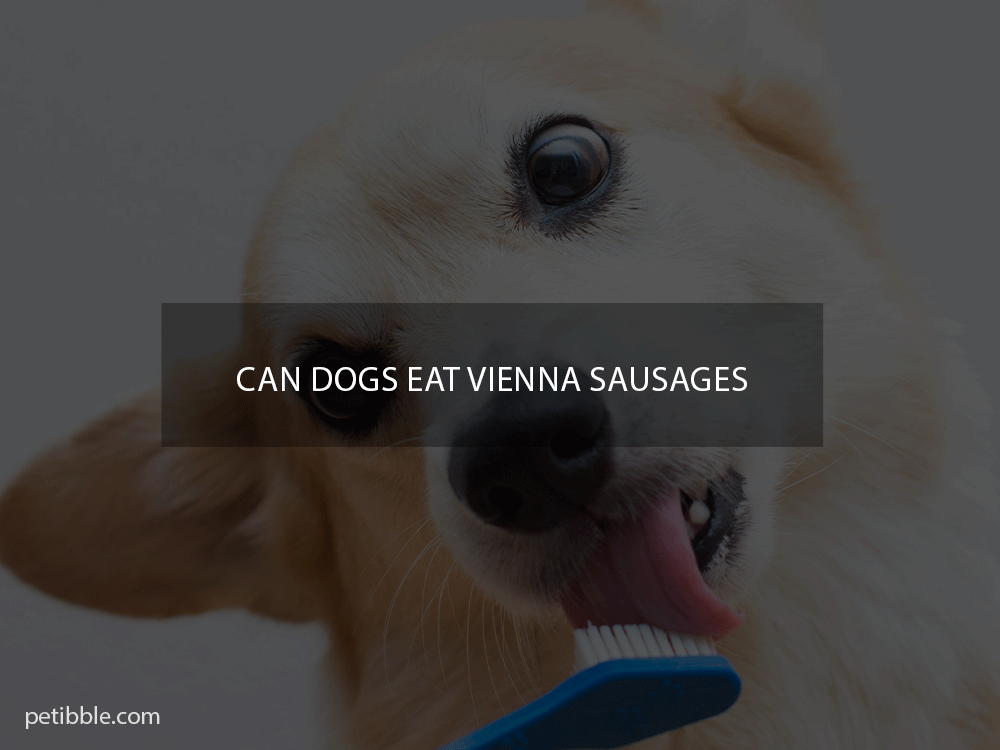 can dogs eat vienna sausages