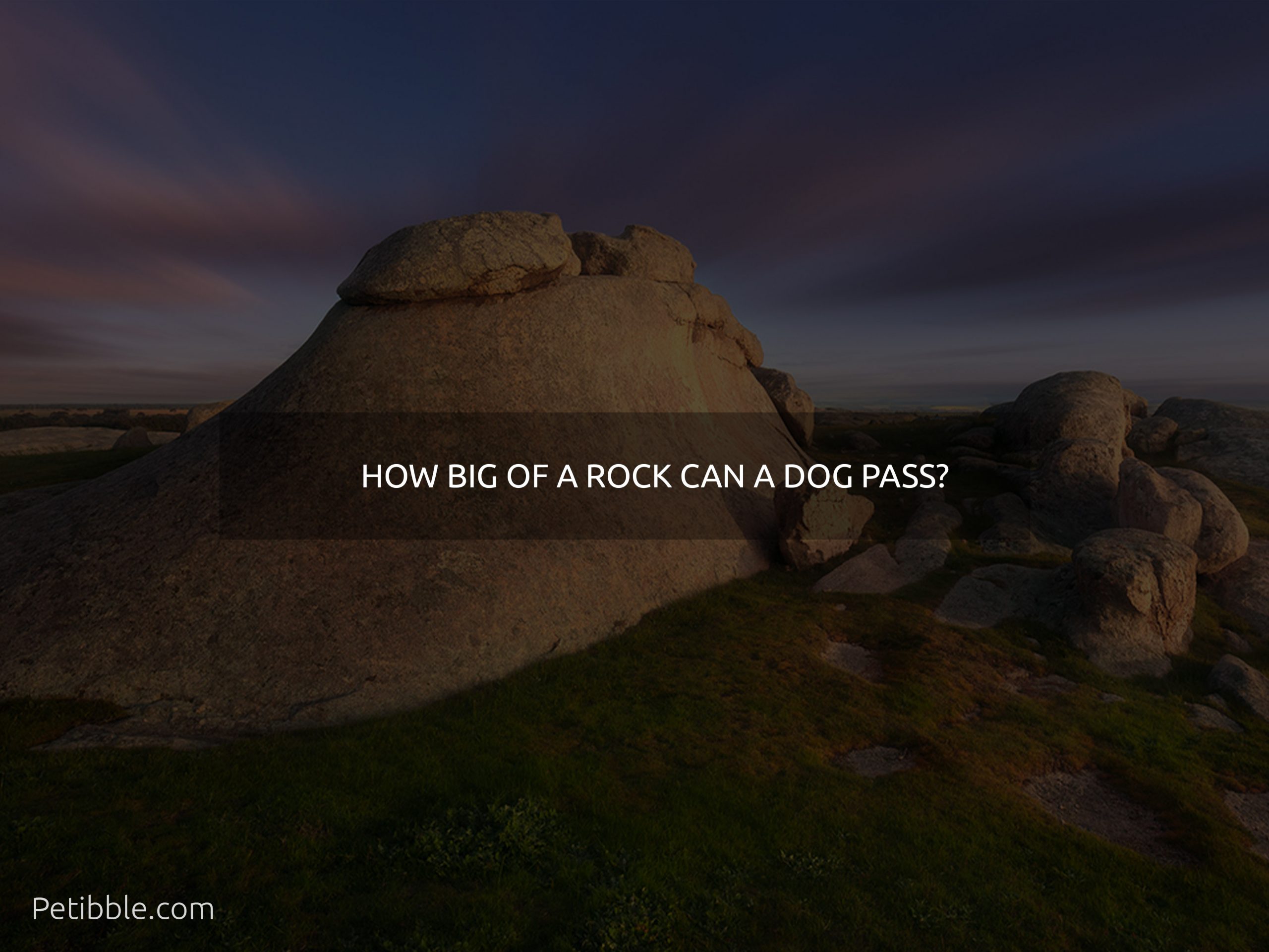 how big of a rock can a dog pass?