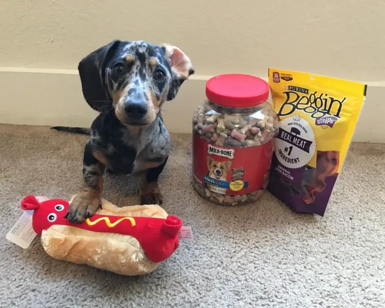 Are Beggin Strips bad for dogs? (Explained) Petibble