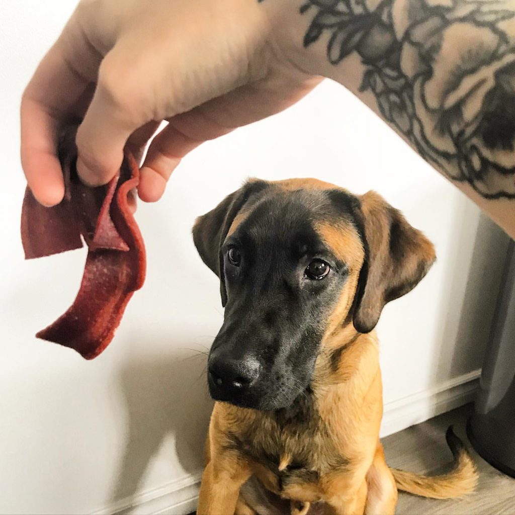 Are Beggin Strips bad for dogs?